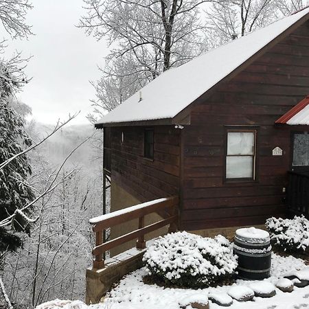 Black Bear Cove Gatlinburg Exteriör bild
