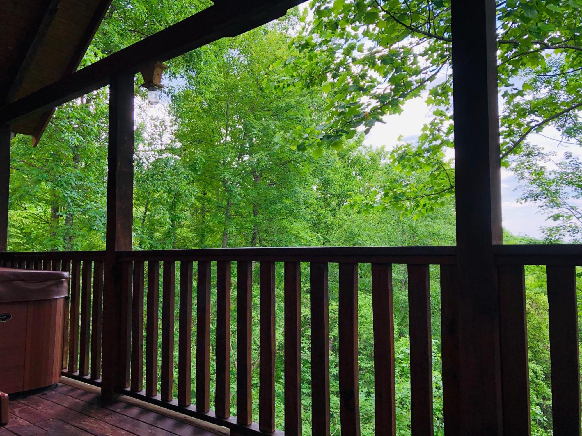 Black Bear Cove Gatlinburg Exteriör bild