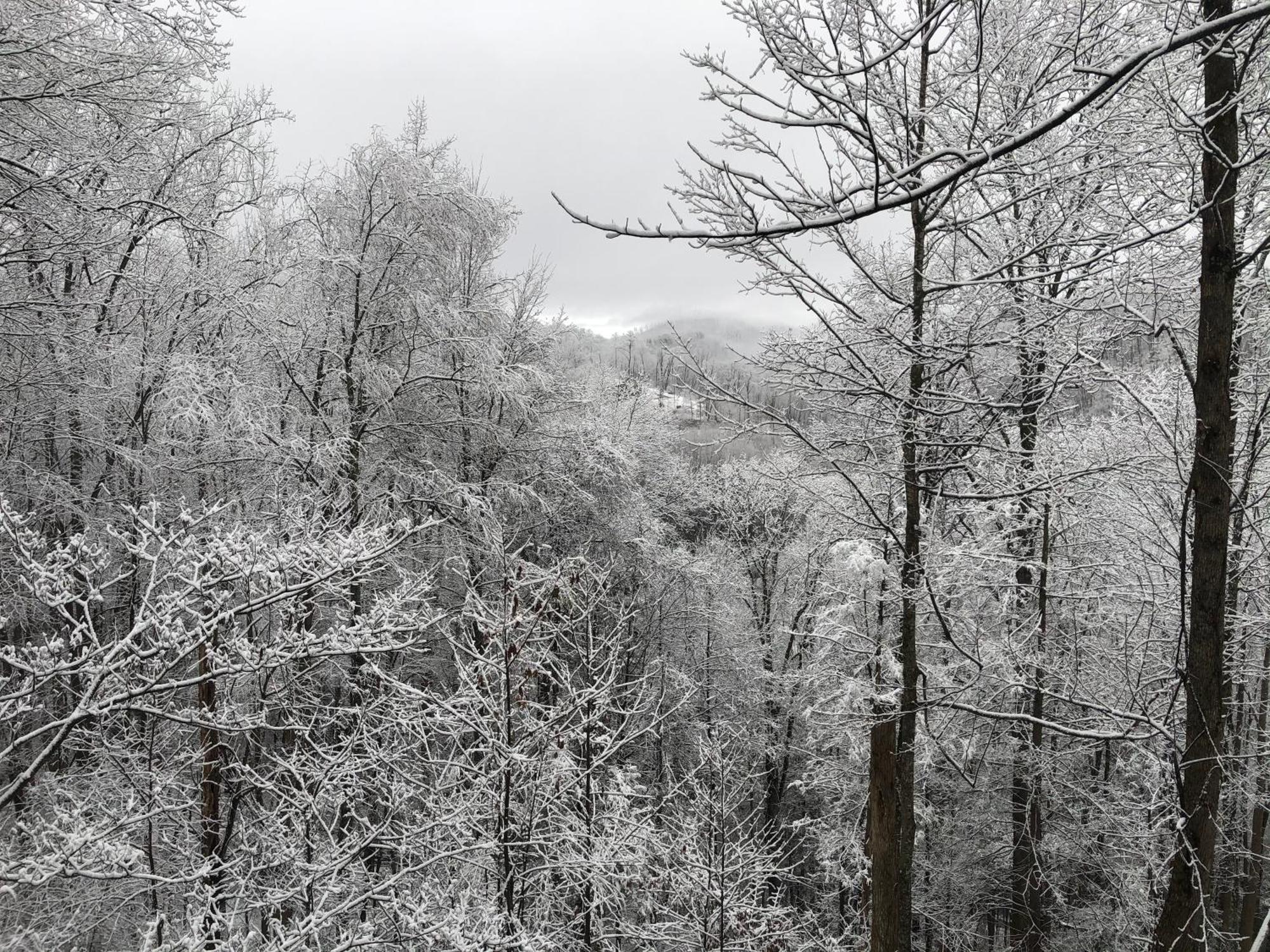 Black Bear Cove Gatlinburg Exteriör bild