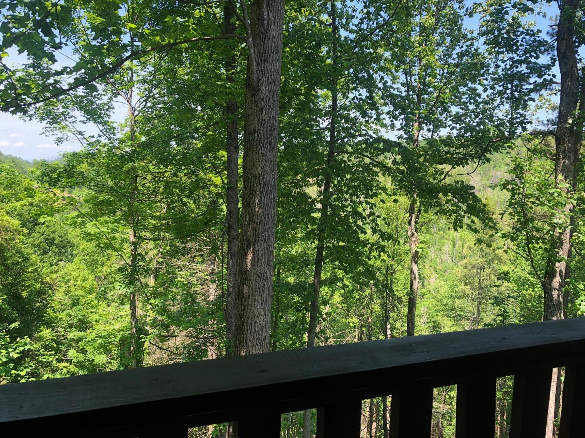 Black Bear Cove Gatlinburg Exteriör bild